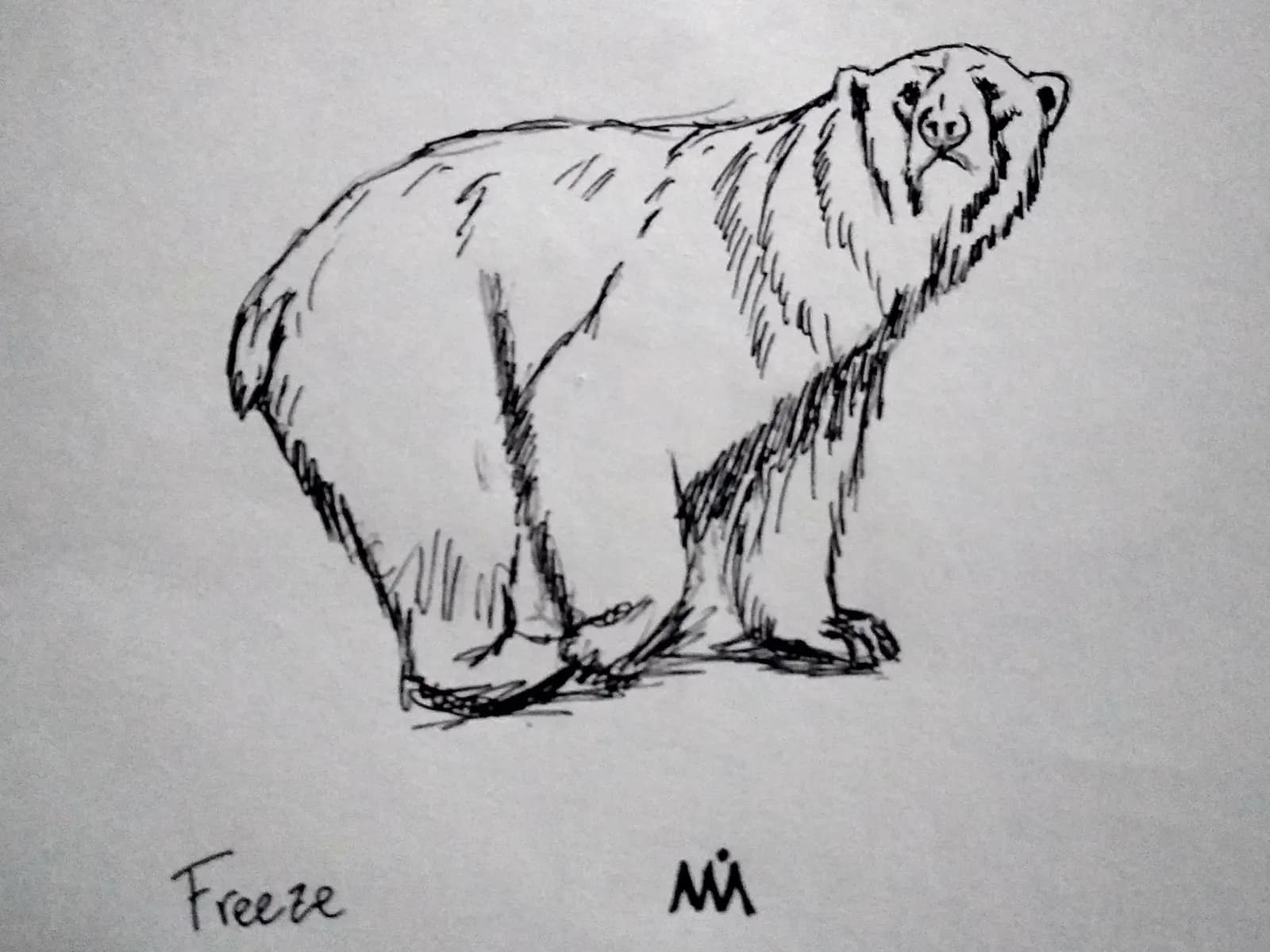 Freeze — Boceto 1