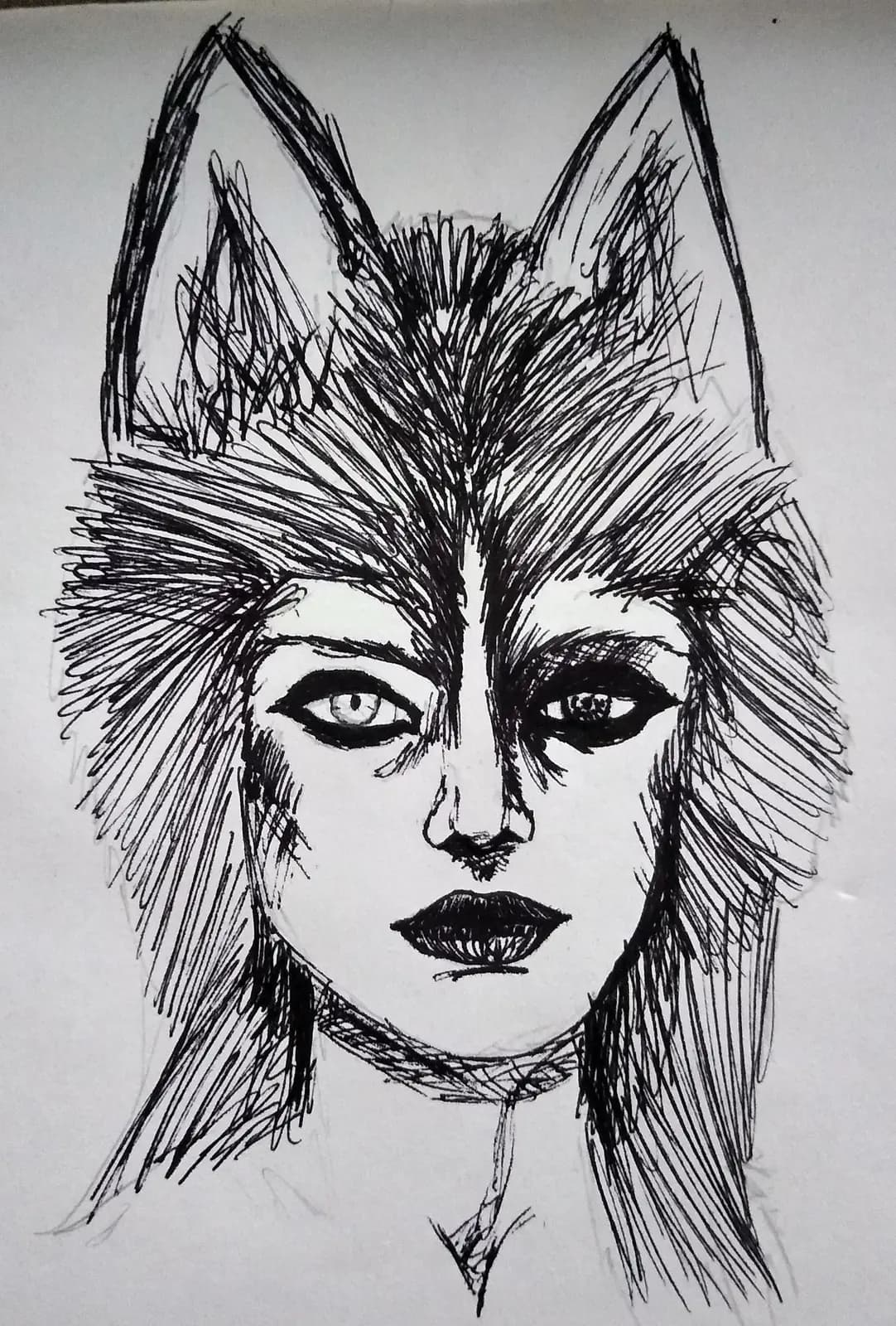 Husky — Boceto 2
