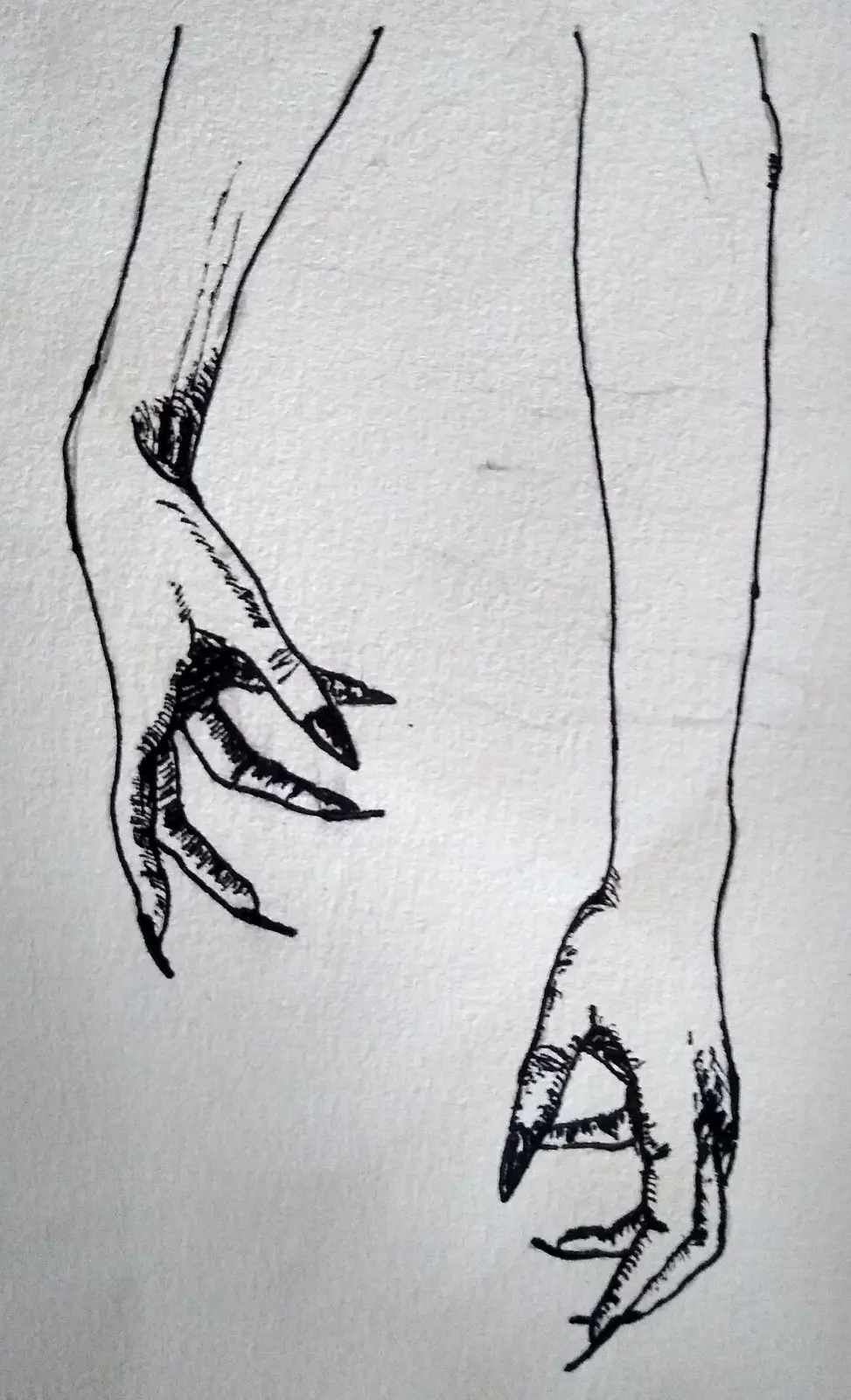 Frail — Boceto 2