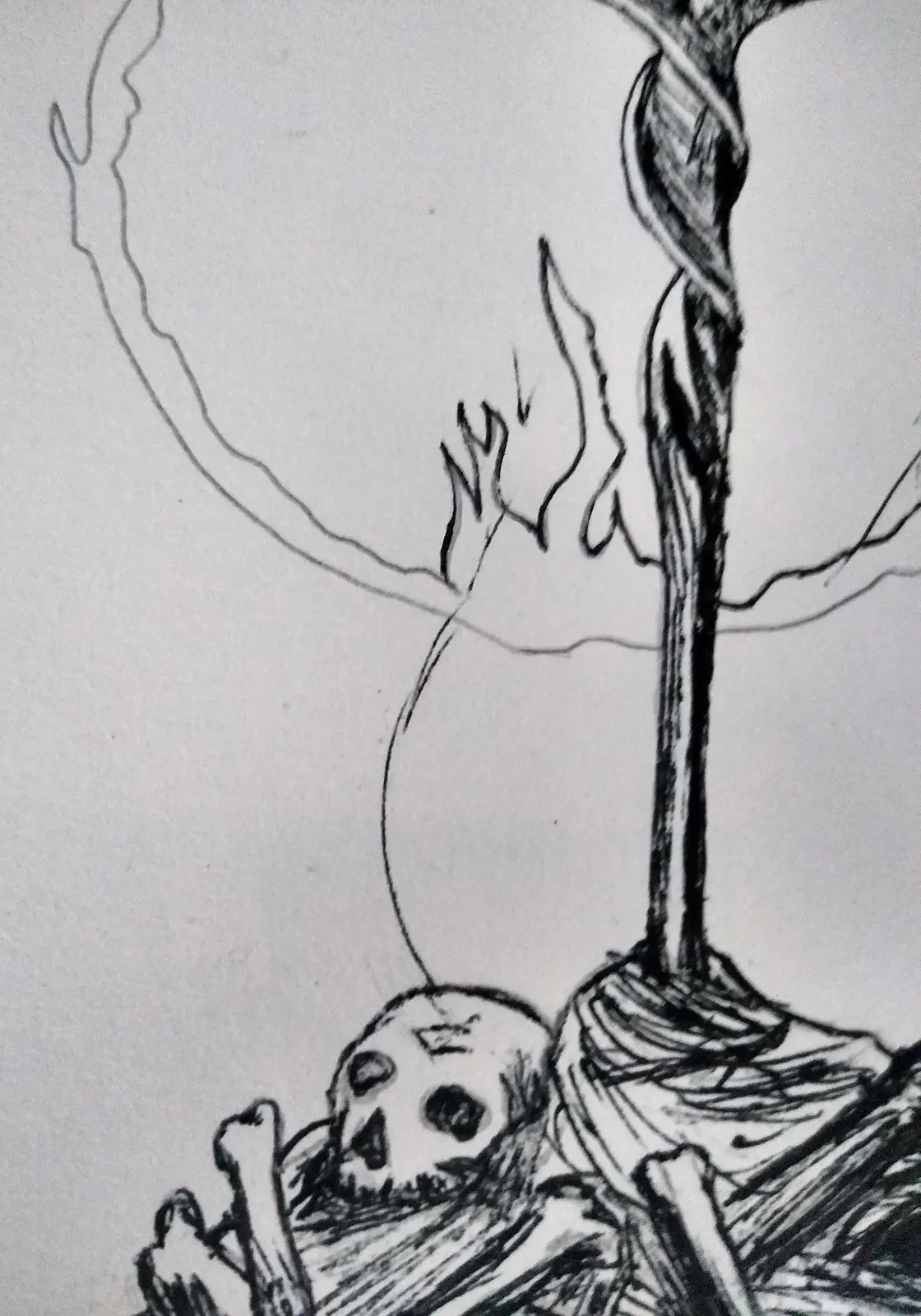 Ash — Boceto 2