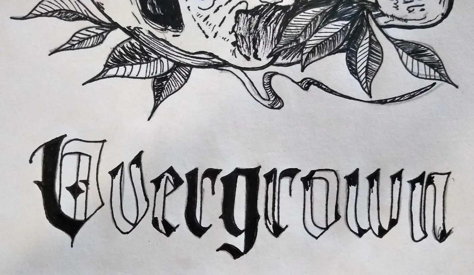 Overgrown — Boceto 2