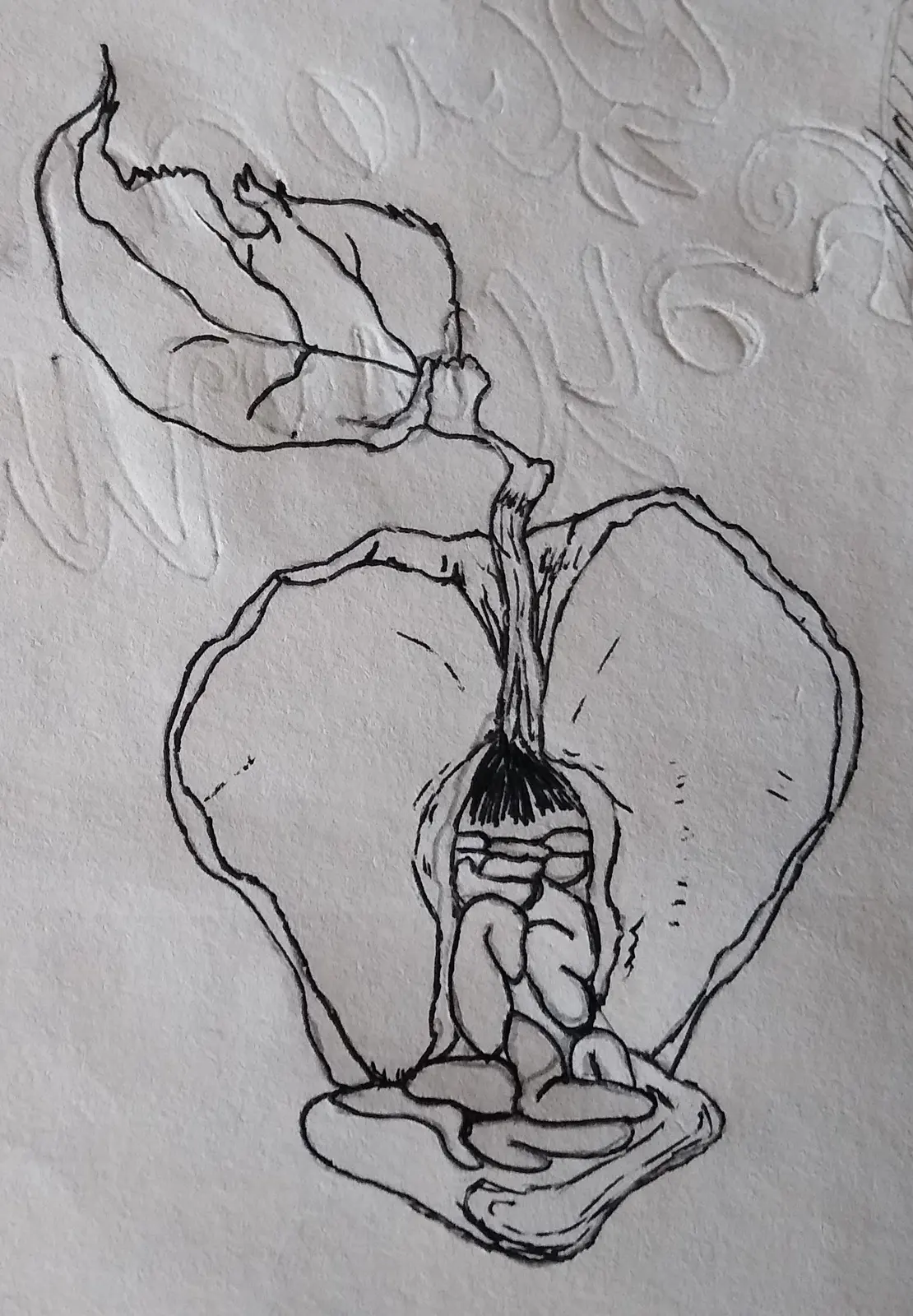 Tasty — Boceto 1