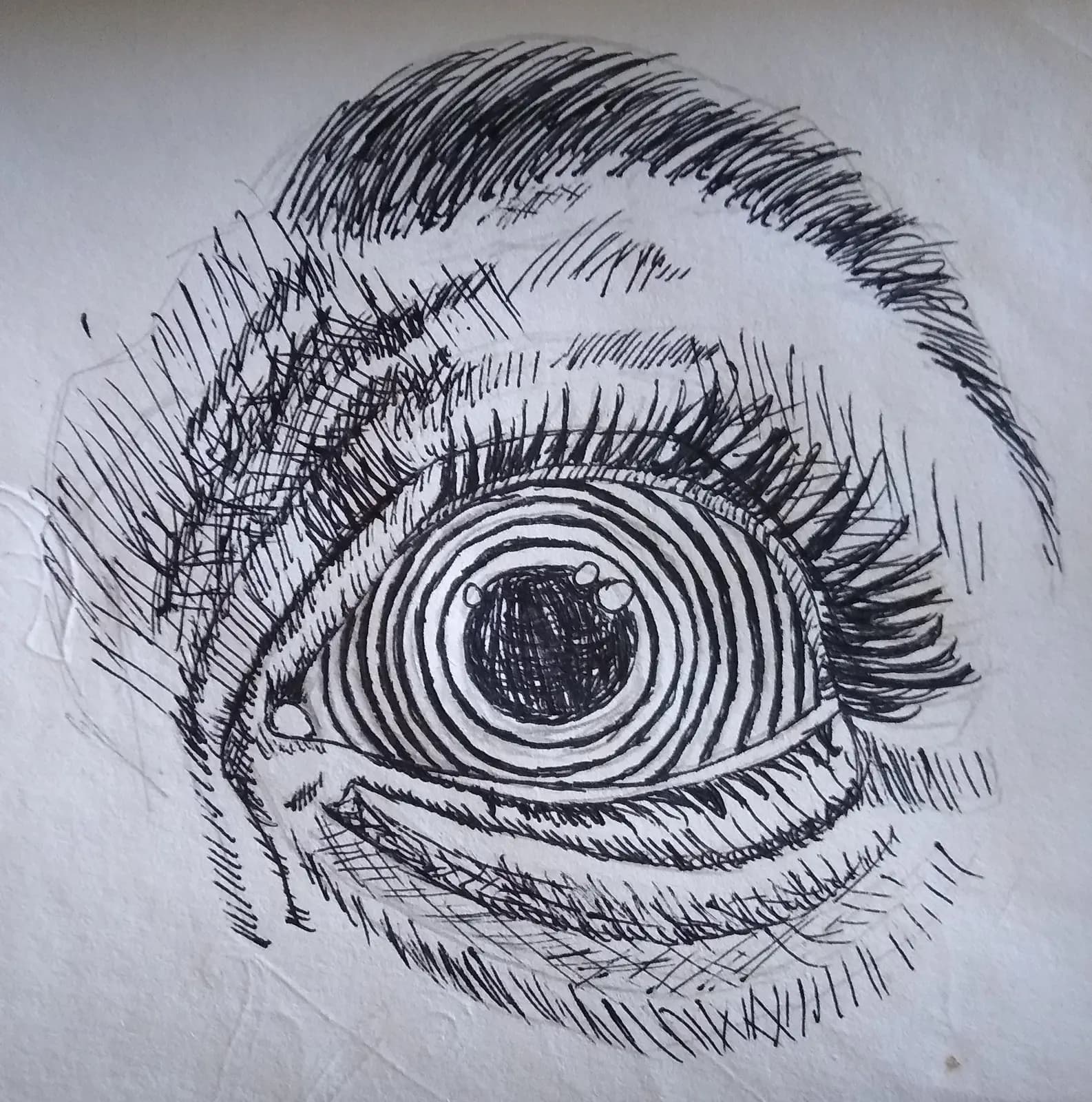 Dizzy — Boceto 1